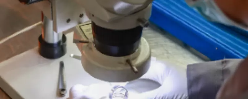 Quality Control & Verification