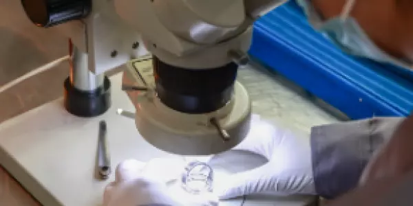 Quality Control & Verification